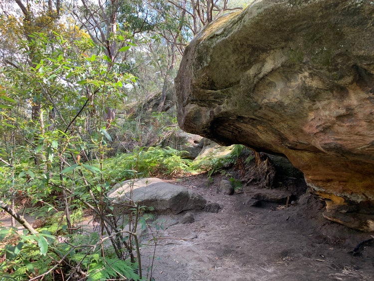 Large rock boulder in a bush setting