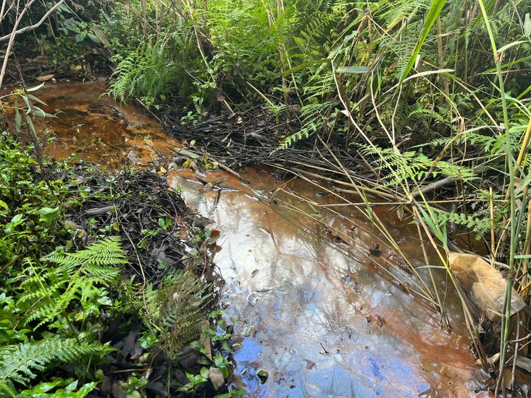 A polluted creek