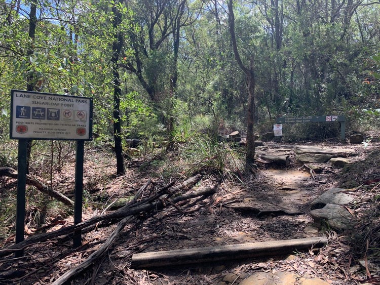 Lane Cove National Park