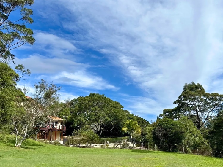 A house at the edge of the bush