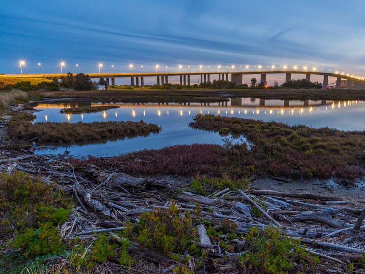 Bridge lit up at dusk over a coastal wetland.