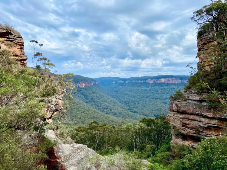 Cliffs with stunted, sparse vegetation and valleys with dense vegetation