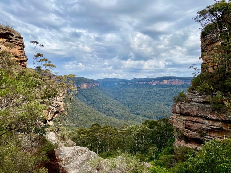 Cliffs with stunted, sparse vegetation and valleys with dense vegetation