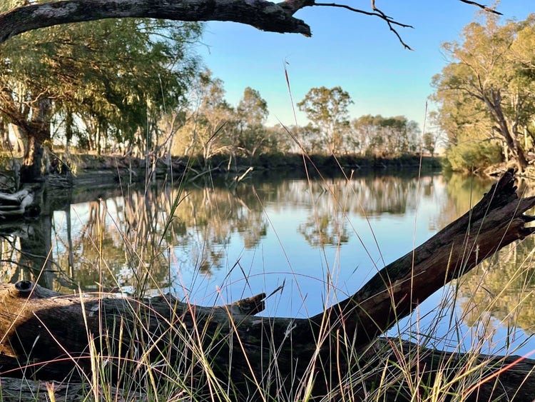 Logs on the edge of a waterway