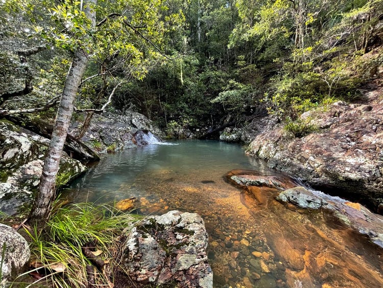 Natural pond surrounded by rocks and bushland