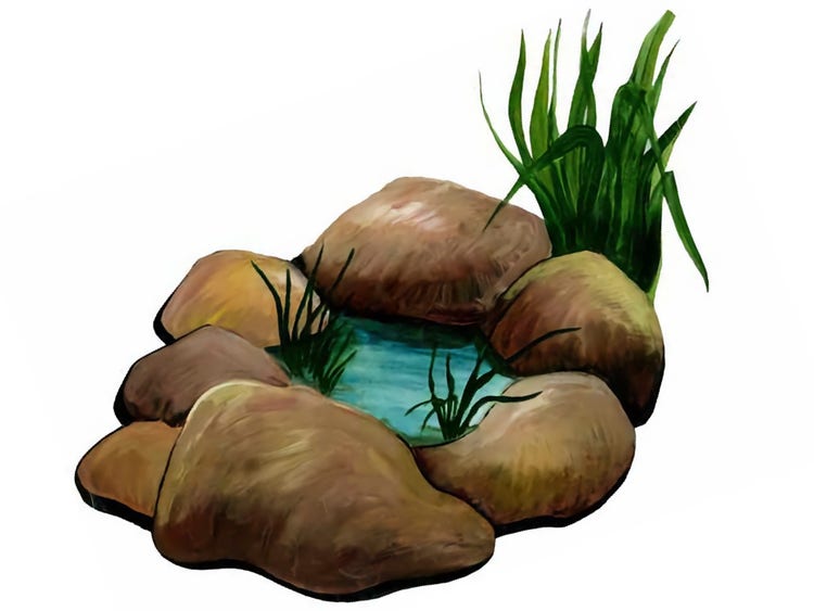 Pond with rocks and plants around the edges