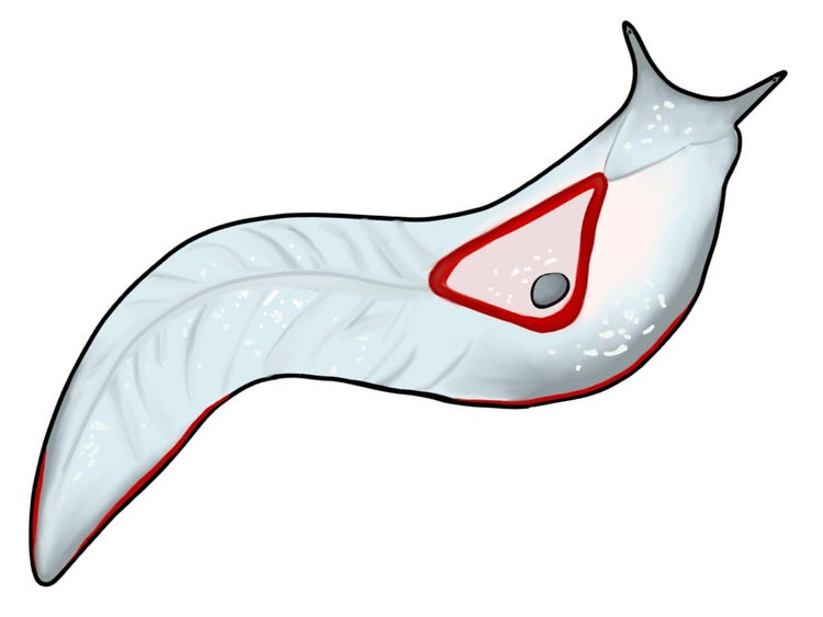Red triangle slug