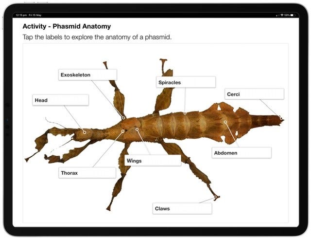 phasmid book