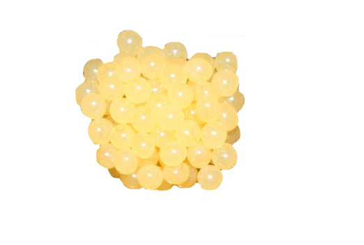 Small round pale yellow eggs