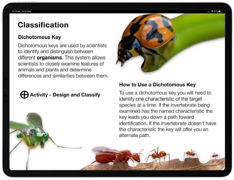 Screenshot of a page from the Invertebrate Explorer digital book about Australian invertebrates.