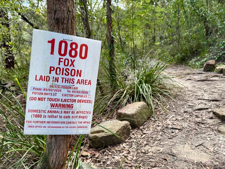 Sign stating 1080 fox poison laid in this area