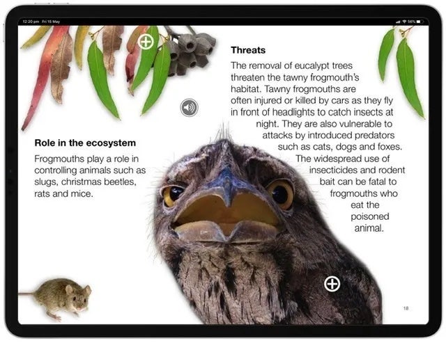 Eucalypt forest digital book screenshot
