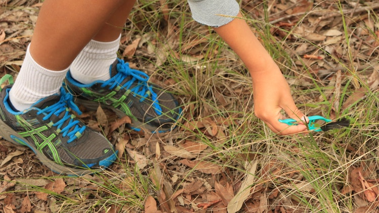 Student team following a clue trail through the reserve, recording scratch marks, droppings, fur and feathers using maps, notes and an iPad camera