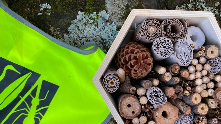 High-visibility ranger vest beside a tray of natural objects, representing park ranger tools and investigations.