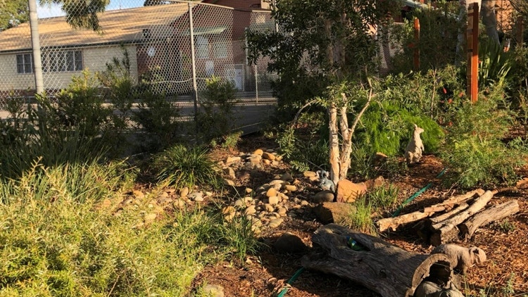A backyard garden with ground cover plants and some shrubs with toy animals placed throughout